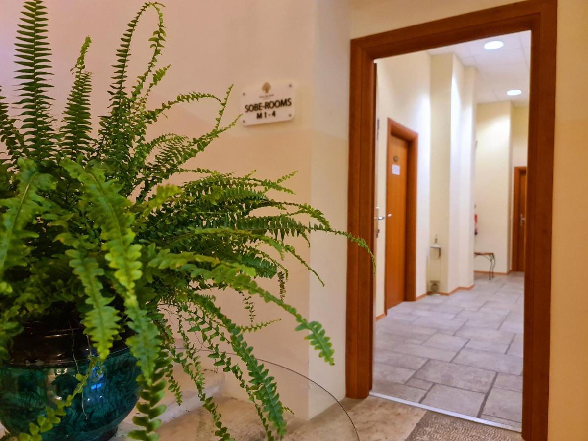 Hotel Stara Sola - Oleander Resort Korte Εξωτερικό φωτογραφία